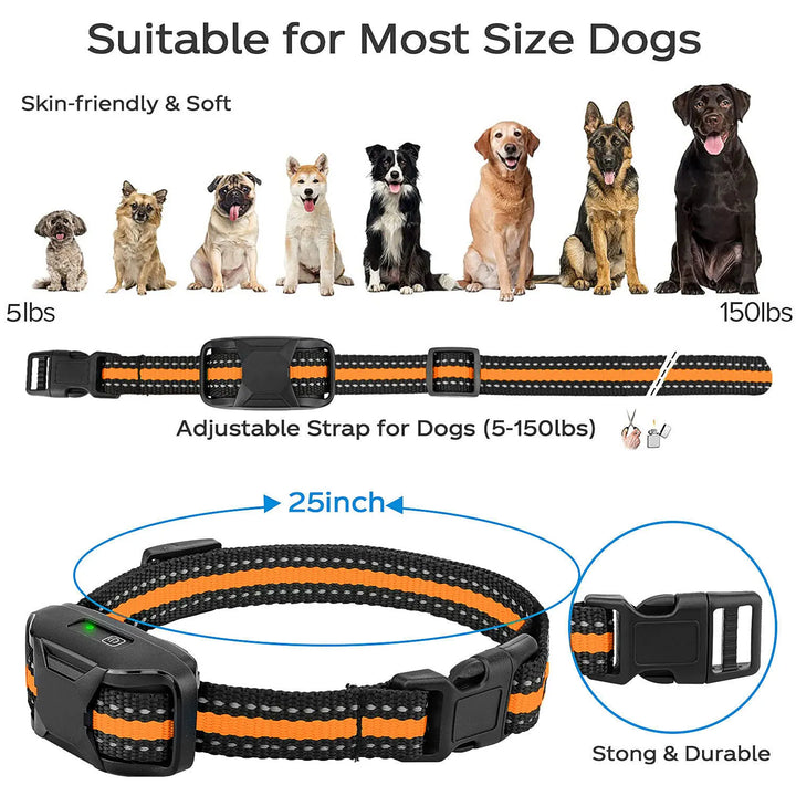 High-Quality Training Collar for Dogs