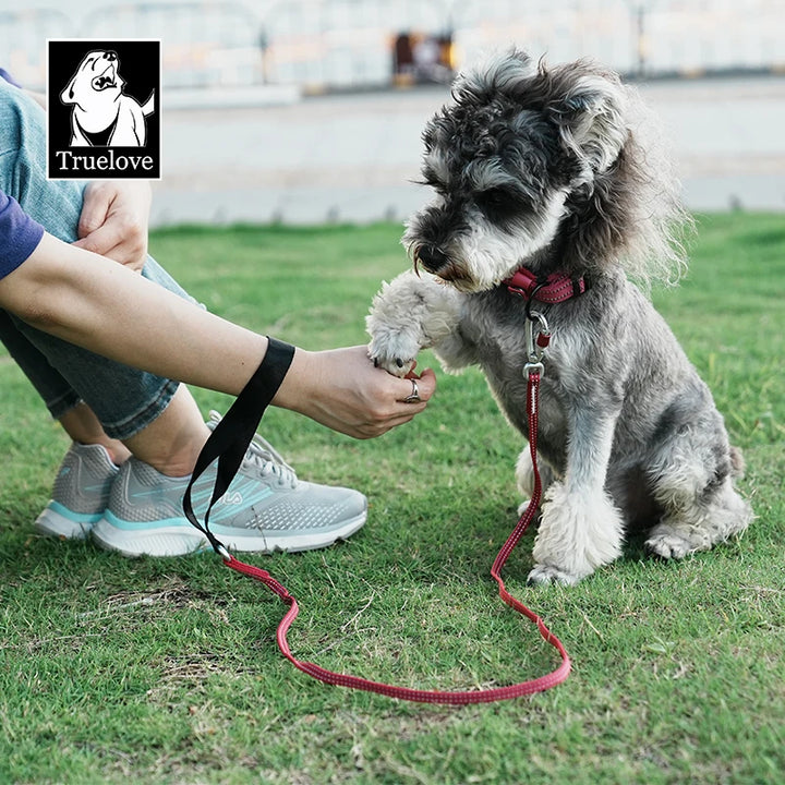 Truelove Lightweight Reflective Dog Leash High Quality Small Adjustable Pet Cat Set Cute Puppy Luxury Designer Dog Leash TLL2772