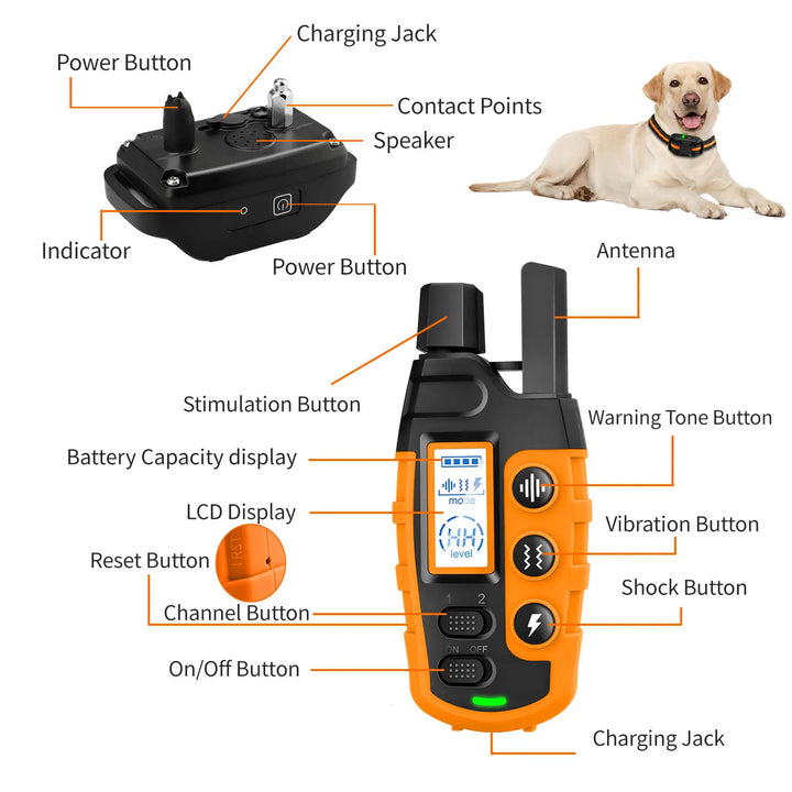 High-Quality Training Collar for Dogs